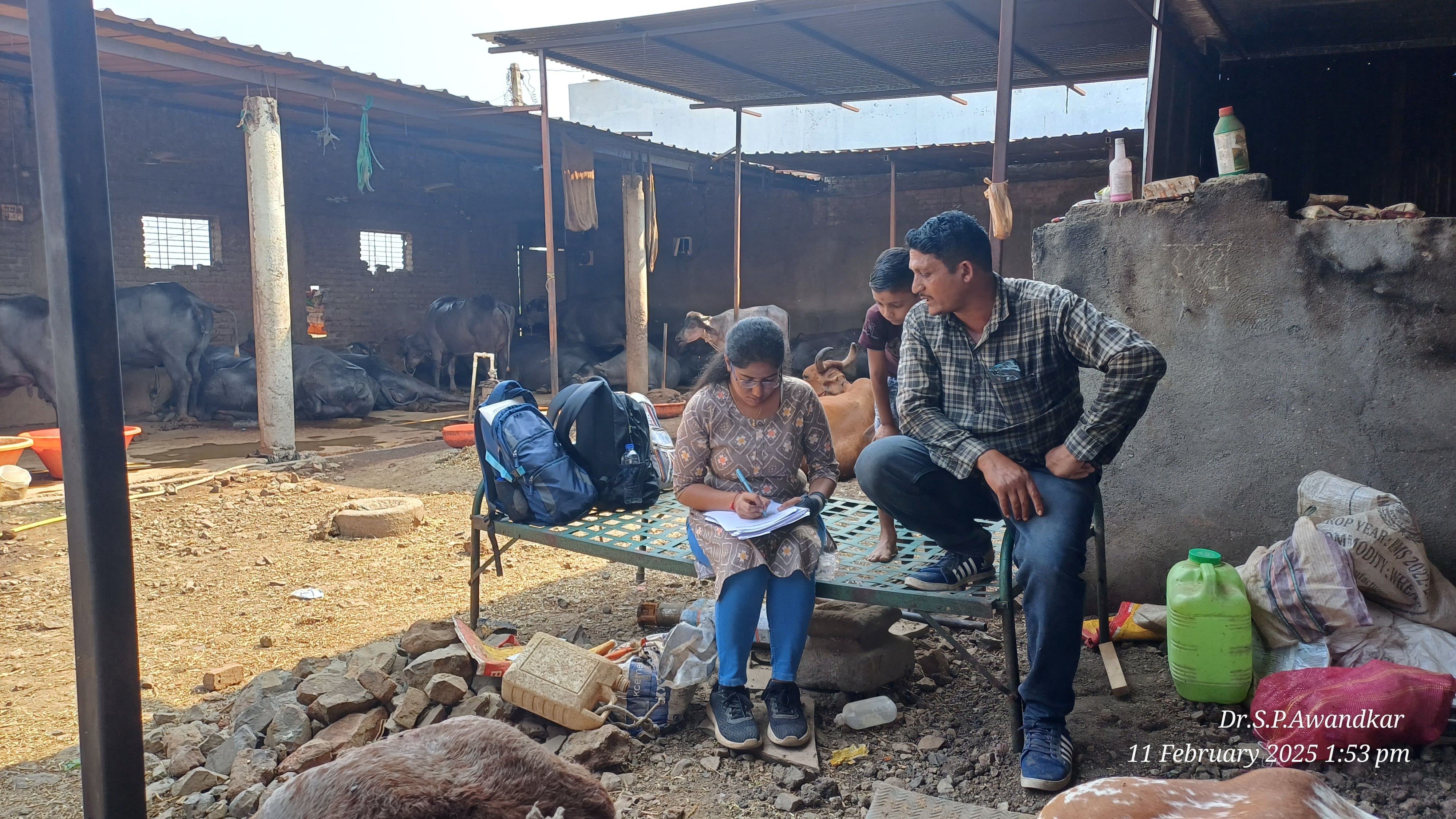 58. Survey Of Buffalo Farmers For Antibiotic Use, Tuberculosis And Q Fever